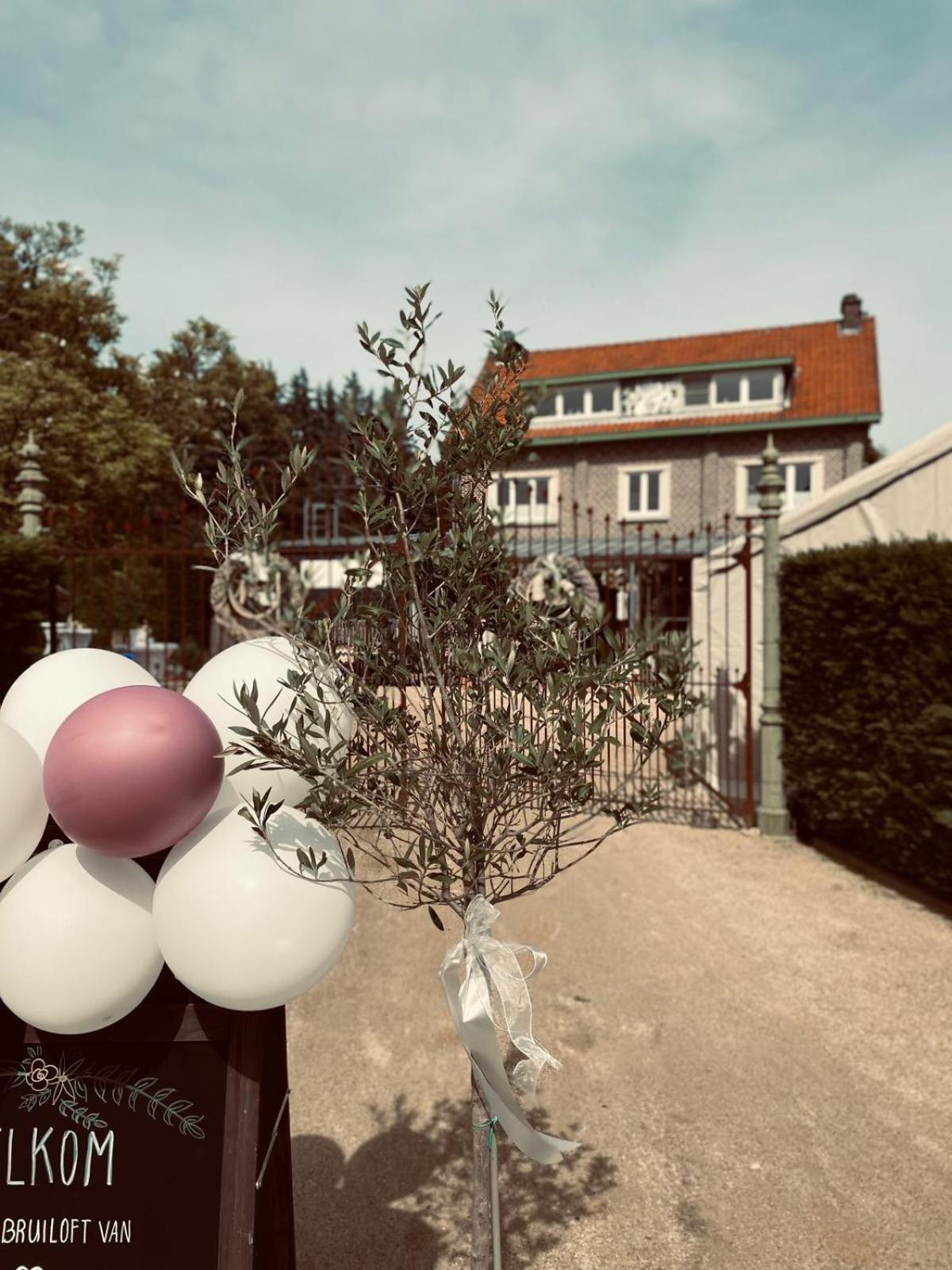 Guesthouse 'T Goed Leven Stokrooie 외부 사진